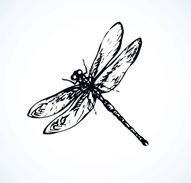 Işık zemin üzerinde büyük şirin alttakım. FreeHand koyu gri mürekkep elle çizilmiş Logo Amblem yarım yamalak retro sanatsal doodle kontur gravür tarzı tükenmez kalemle kağıt alanı metin için. Ayrıntı görünümü kapatın