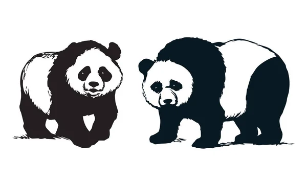 大猫脚大熊猫来看 大熊猫站在光背景 写意线性深色墨手绘图片徽标心机在艺术复古涂鸦风格笔在纸上 特写侧视图与文本的空间 — 图库矢量图片