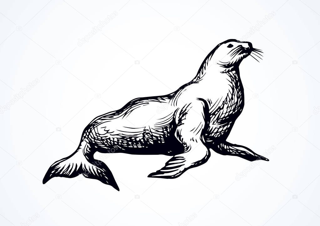 Big fat sealion creature on cold frozen winter backdrop. Dark grey outline ink hand drawn cute fun zoo circus pet logo pictogram emblem sketchy in retro art doodle etch style on paper space for text