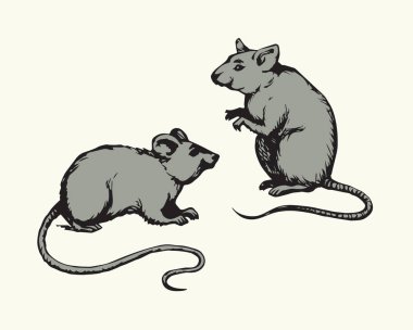 Tüylü Rattus ışık zemin üzerinde. Serbest karanlık mürekkep elle çizilmiş logo amblem piktogram yarım yamalak retro karalama stil tükenmez kalemle kağıt üzerinde. Metin için yer ile görünüm portre