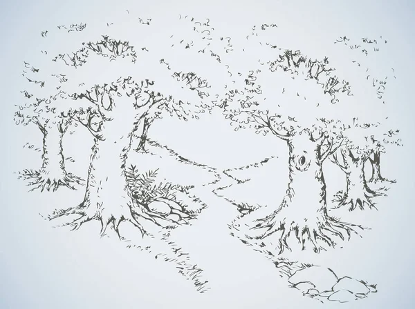 Pista Estrecha Entre Grandes Plantas Madera Roble Exuberante Freehand Bosquejo — Vector de stock