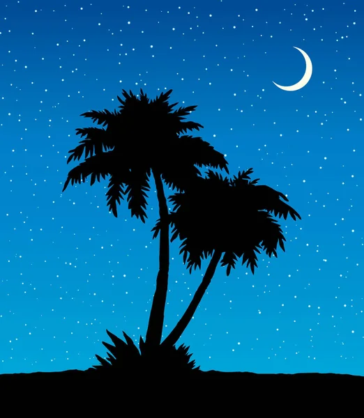 Yaz aylarında Afrika rainforest hurma doğal görünümü ile metin için yer derin mavi gece cennet zemin üzerinde. Çöl oasis alanında yüksek eski yemyeşil çalı çırpı. Grafik açık sahne resim
