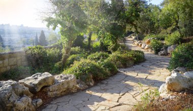 Yerushalayim, Gethsemane, Orta Doğu, Temmuz 2016. Yahudiye eski kutsal başkenti. Antik şehir Getsemani görünümü metin için yer ile mavi gökyüzü. Ünlü Yahudi kutsal toprak ibadet yeri Musevi King David