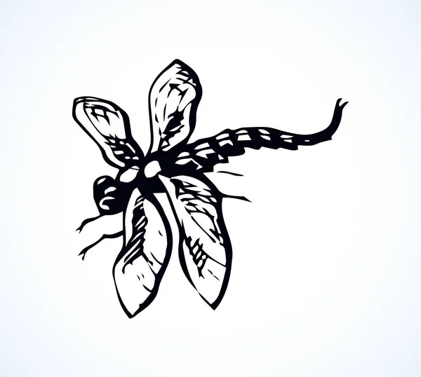 Grote Schattig Anisoptera Lichte Achtergrond Freehand Donkergrijs Inkt Hand Getrokken — Stockvector