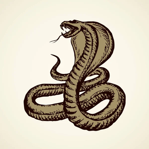 Big Curve Creepy Viperidae Crotalus Asp Serpentine Sobre Fondo Blanco — Vector de stock