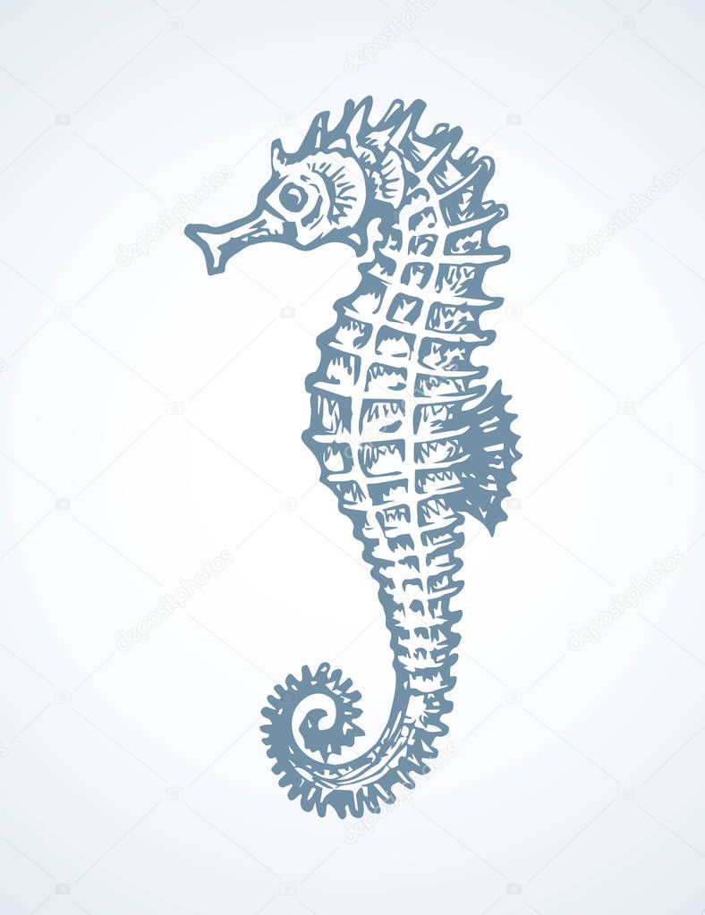 Small Syngnathidae on light backdrop. Freehand dark ink hand drawn funny sealife pet logotype emblem insignia sketchy in retro etch scribble print style pen on paper space for text. Side detail view