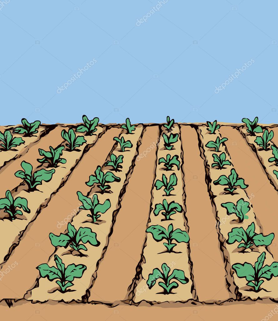 Dibujo De Invernadero De Crestas Y Surcos