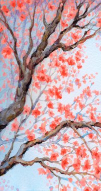 Canlı renkli suluboya Asya Japonya kağıt zemin üzerinde beyaz gökyüzü üzerinde metin için yer stiliyle kroki. Yemyeşil pembe Lila önümüzdeki fide çiçekli meyve bahçesinde eski Filiz üzerinde