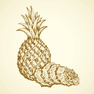 Beyaz arka planda yalıtılmış lezzetli, ahmakça ananas karışımı. El yazısı, siyah mürekkep çizimi, resim logosu kabataslak, kağıt üzerine karalama tarzı kalemle çizilmiş. Metin için alanı olan yakın görünüm