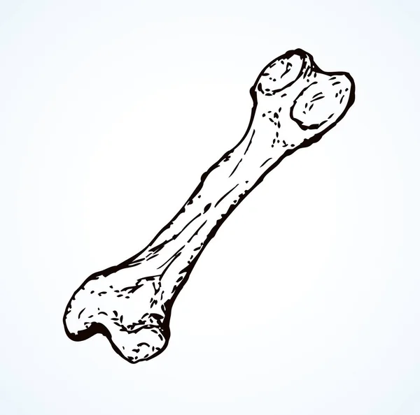Aged Large Man Arm Limb Part Bony Object Close Historic — Stock Vector