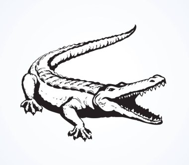 Squamate nile old rough scaly Crocodylia isolated on white background. Freehand outline ink hand drawn picture sign sketchy in art retro scribble style pen on paper. Closeup and space for text on sand vector Squamate nile old rough scaly Crocodylia isolated on white background. Freehand outline ink hand drawn picture sign sketchy in art retro scribble style pen on paper. Closeup and space for text on sand vector