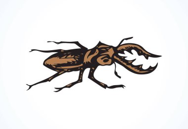 Büyük, sevimli, berrak böcek ışık arka planında duruyor. Serbest ve koyu renkli çizgili mürekkep el çizimi Insecta logosu amblemi eskimiş sanat eskizi oymalı kalemle kağıt üzerine yazı için. Ayrıntılı görünümü kapat