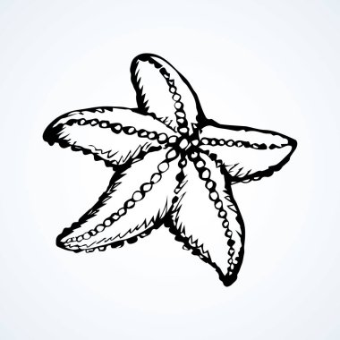 Download Starfish Echinodermata Free Vector Eps Cdr Ai Svg Vector Illustration Graphic Art