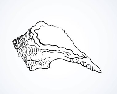 Zarif kıvrılmış rapana kıyı kum zemin üzerinde. Serbest el anahat siyah mürekkep el antik sanat doodle karikatür yazdırma stilinde metin için yer beyaz kağıt üzerinde kabataslak çizilmiş logo amblem resim. Closeup görünümü