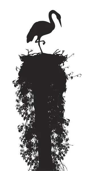 Прекрасный Галантный Оттенок Белом Фоне Нарисованный Темными Чернилами Нежный Родительский — стоковый вектор