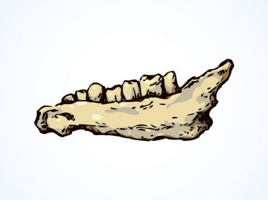 Yaşlı iç düşük coronoid kemikli Müzesi artifakı. Serbest çizim siyah mürekkep el çekilmiş logo amblem antika sanat karikatür doodle kazınmış tarzı kalem ışık kağıt alanı metin tasarımında imzala. Görünümü kapatın