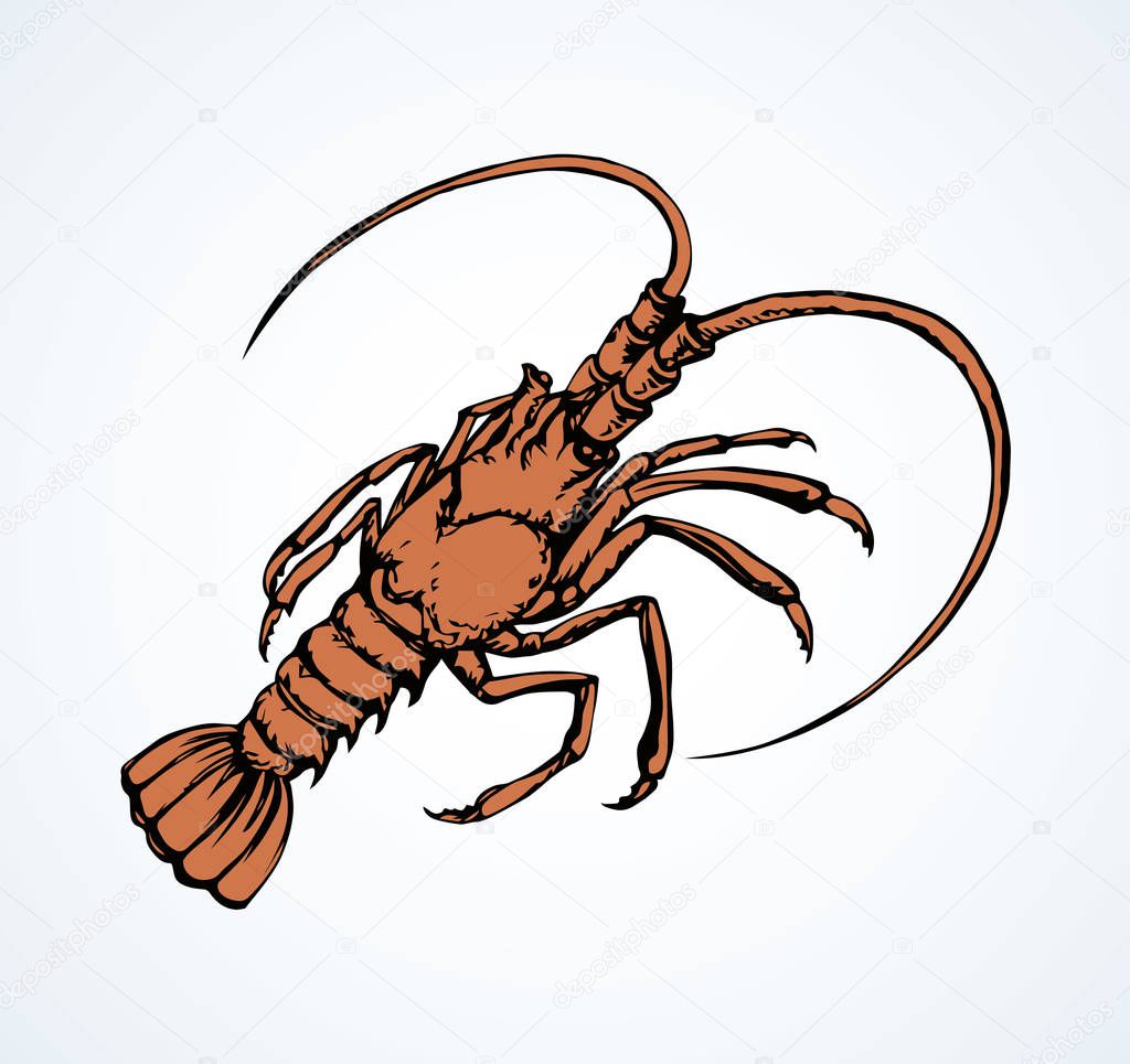 Big old red anthropod panulirus mudbug set isolated on white background. Bright orange color hand drawn logo pictogram sketchy in art cartoon retro style. Closeup view with space for text