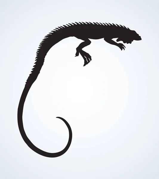 Squamate Vieux Reptiles Lacertilia Animal Isolé Sur Fond Blanc Encre — Image vectorielle