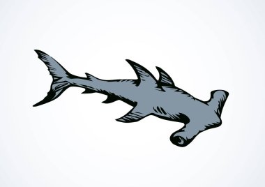 Beyaz arka planda büyük bonnethead Sphyrna mokarran. Çizgisiz, lineer, siyah el çizilmiş resim logosu çizilmiş. Resim retro doodle hatlarıyla çizilmiş. Grafik tarzı kalemle kağıda yazılmış. Metin için boşluk ile yakın plan görüntüle