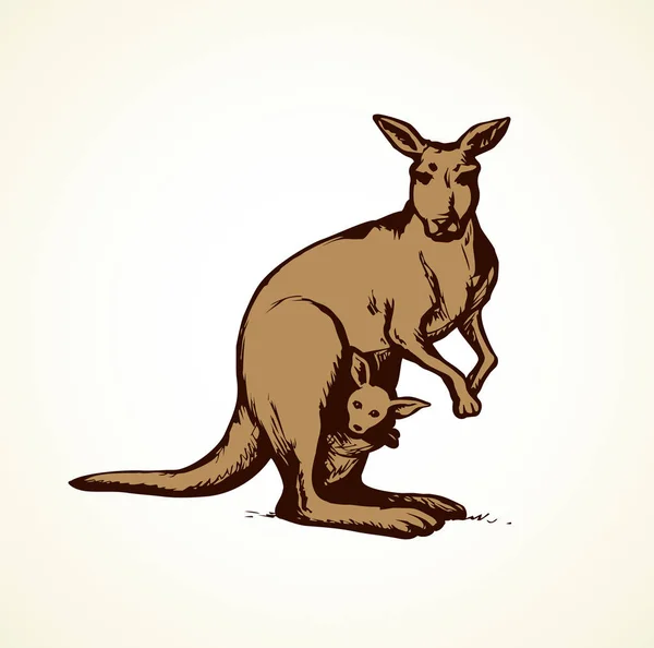 Peluda Hembra Perro Wallaroo Pie Sobre Fondo Blanco Freehand Tinta — Vector de stock