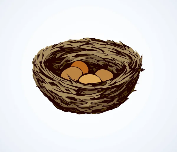 Nueva Ramita Tejida Eco Dorado Birdnest Sobre Fondo Blanco Brillante — Vector de stock