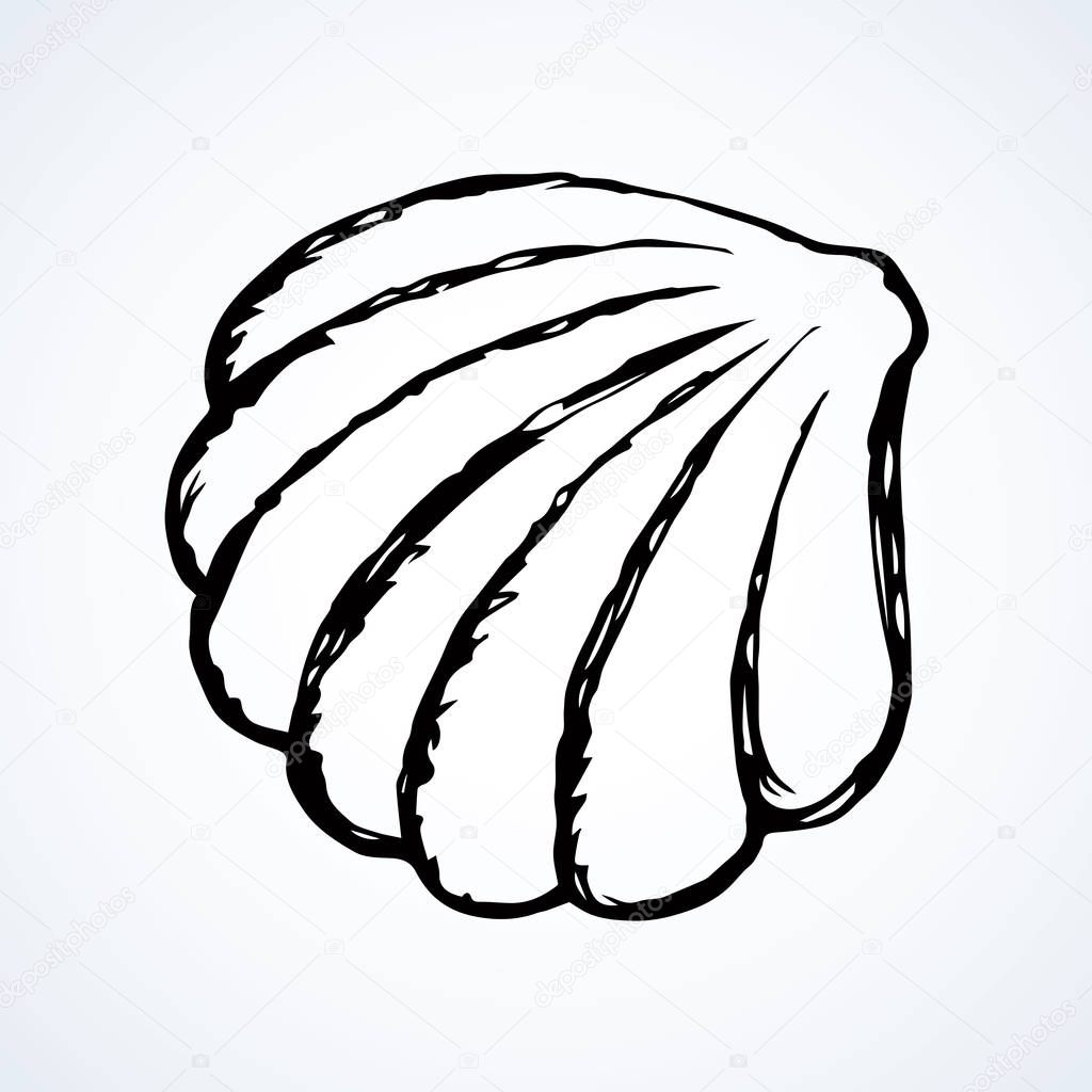 Light nacre scallop snail isolated on white backdrop. Freehand outline blue ink hand drawn picture sketchy in art scribble retro style pen on paper. Close up view with space for text