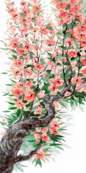 Aquarell Hintergrund Rosafarbene Blüten Und Sattes Grünes Laub Frühjahrsblühen Eines — Stockfoto