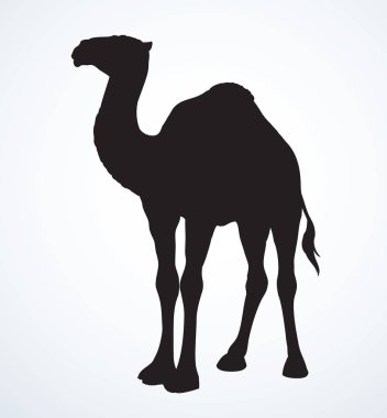 Büyük tatlı egzotik dromader gökyüzü zemin otobur hayvan kürsüye. Siyah Mürekkep el çizilmiş Doğu Hayvanat Bahçesi fauna Hayvancılık logo amblem modern sanat dağılım basık metin için yer üzerinde yazdırma stili. Profil görünümü