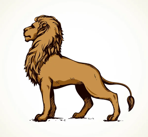 Beautiful African Proud Powerful Nobility Big Leo Standing Fierce Looking — Stock Vector