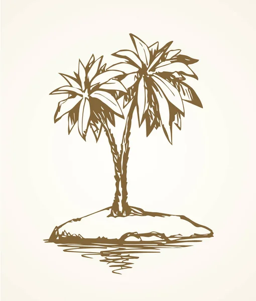 夏日异国情调的风景 白色天空背景下的文字空间 高郁郁葱葱的椰子树在海湾上 手绘手绘素描草图 艺术复古笔墨蚀刻式笔画在纸上 — 图库矢量图片