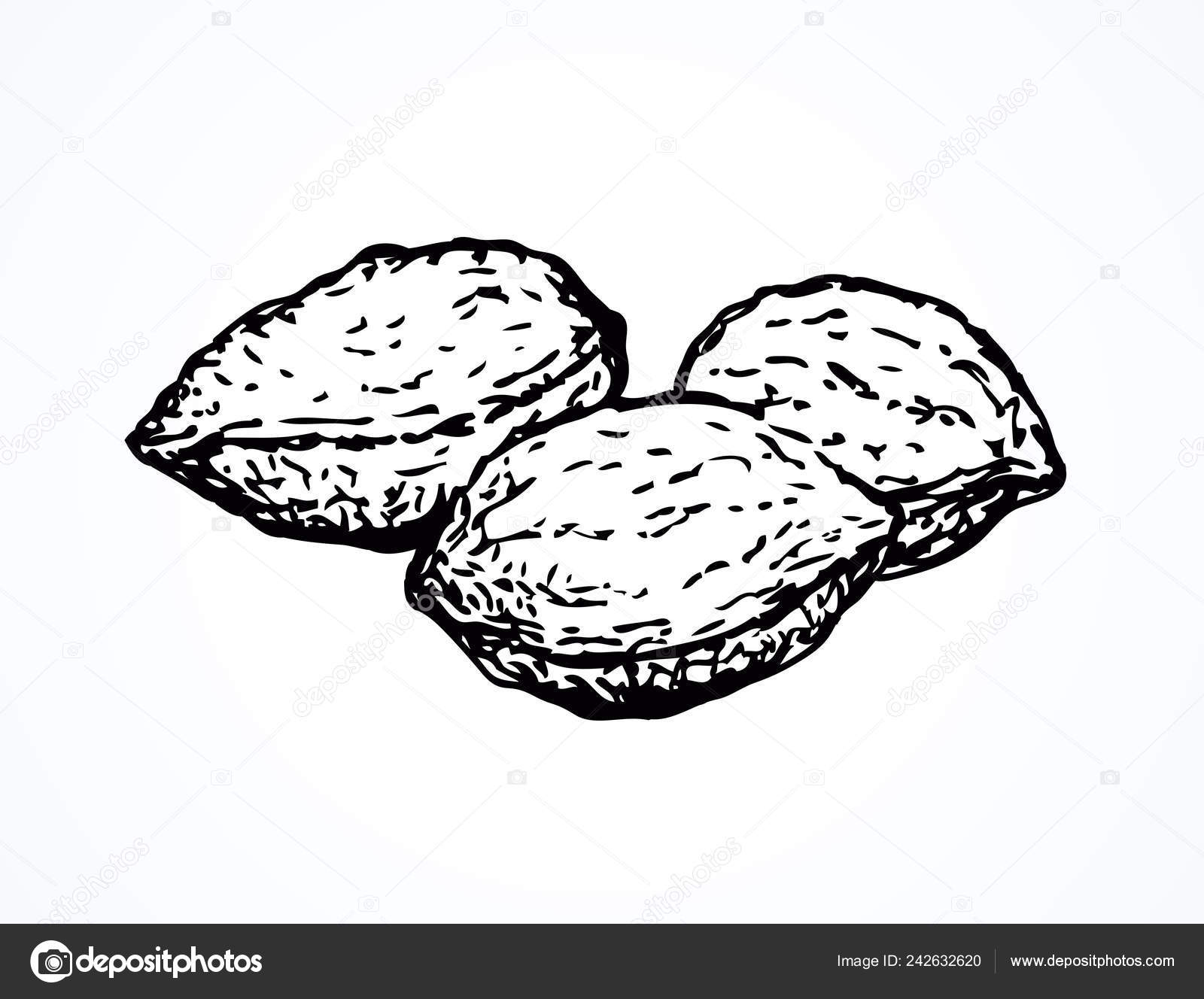 Tasty Ripe Raw Peach Pit Meal Group White Freehand Outline Vector Image By C Marinka Vector Stock Tasty Ripe Raw Peach Pit Meal Group White Freehand Outline Vector Image By C Marinka Vector Stock