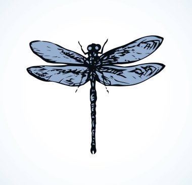 Işık zemin üzerinde büyük şirin alttakım. FreeHand koyu gri mürekkep elle çizilmiş Logo Amblem yarım yamalak retro sanatsal doodle kontur gravür tarzı tükenmez kalemle kağıt alanı metin için. Ayrıntı görünümü kapatın