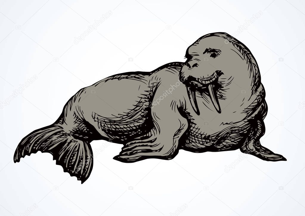 Big fat sealion creature on cold frozen winter backdrop. Dark grey outline ink hand drawn cute funny zoo circus pet logo pictogram emblem sketchy in retro art doodle etch style on paper space for text