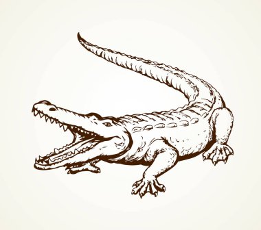 Squamate nile old rough scaly Crocodylia isolated on white background. Freehand outline ink hand drawn picture sign sketchy in art retro scribble style pen on paper. Closeup and space for text on sand vector Squamate nile old rough scaly Crocodylia isolated on white background. Freehand outline ink hand drawn picture sign sketchy in art retro scribble style pen on paper. Closeup and space for text on sand vector