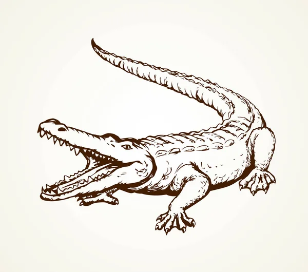 Квадратна Дев Ята Стара Груба Луска Крокодилія Ізольована Білому Тлі — стоковий вектор