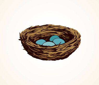 Yeni dokuma dal eko yeşil birdnest beyaz zemin üzerinde. Parlak kahverengi renk el çekilmiş kuş embriyo gıda nesne logo amblem retro sanat doodle tarzı metin için yer kağıt üzerinde kabataslak. Closeup Nisan görünümü