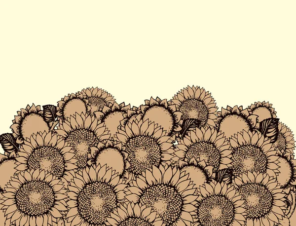 Vector illustration. Sunflowers — Stock Vector