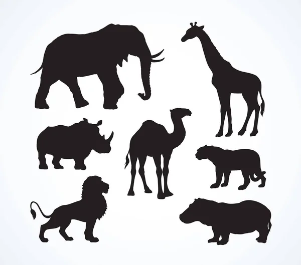 Animais africanos. Desenho vetorial —  Vetores de Stock
