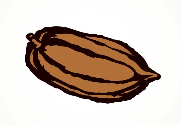 Cacao vruchten. Vector tekening — Stockvector