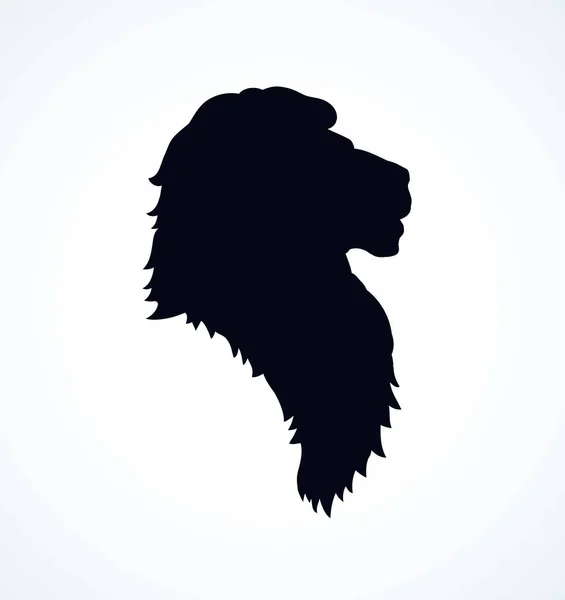 Lion. Vector drawing — Stock Vector