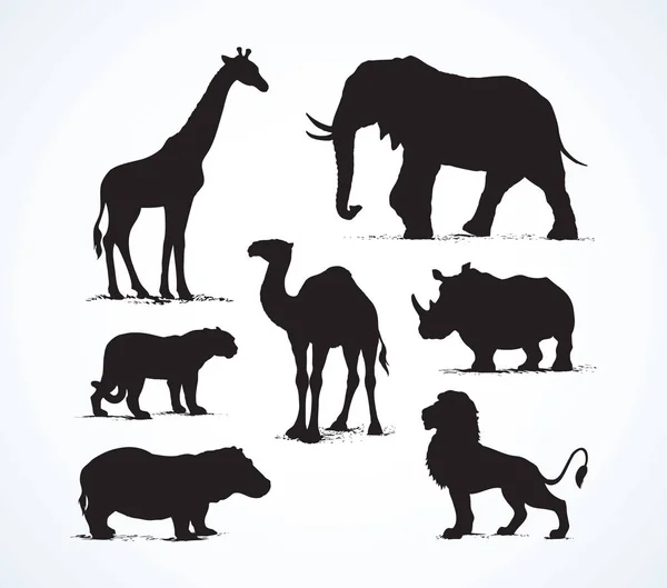 Animais africanos. Desenho vetorial — Vetor de Stock