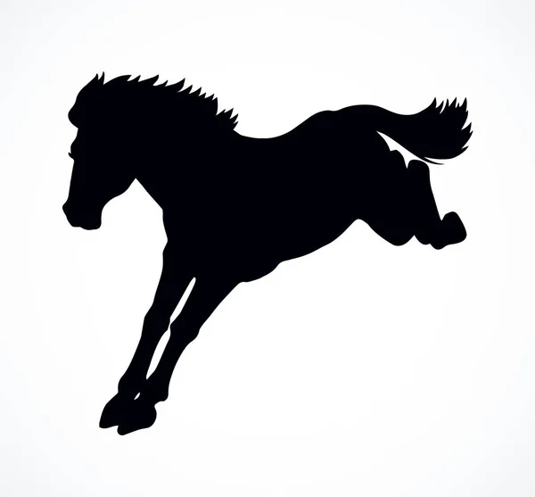 Paardenrennen. Vector tekening — Stockvector