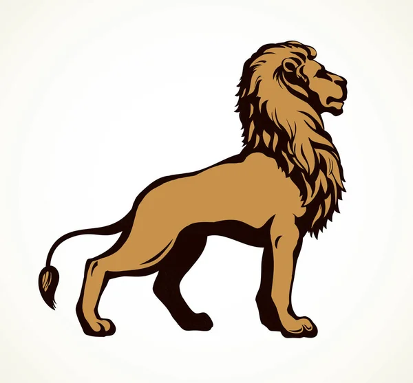 Lion. Vector tekening — Stockvector