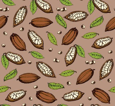 Kakao meyveleri. Vektör çizim