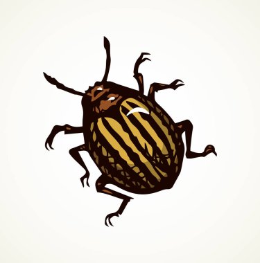 Colorado böceği. Vektör çizim