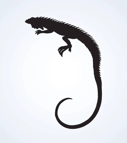Iguana. Desenho vetorial — Vetor de Stock