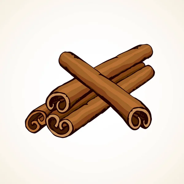 Cinnamon. Vector drawing — Stock Vector