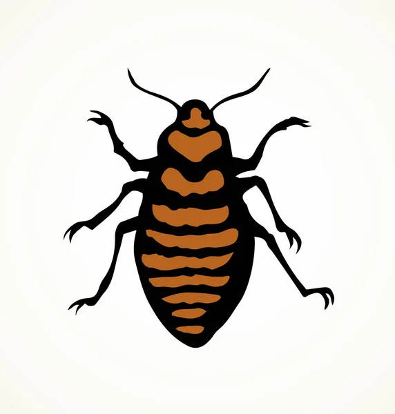 Un scarabée. Larve. Dessin vectoriel — Image vectorielle