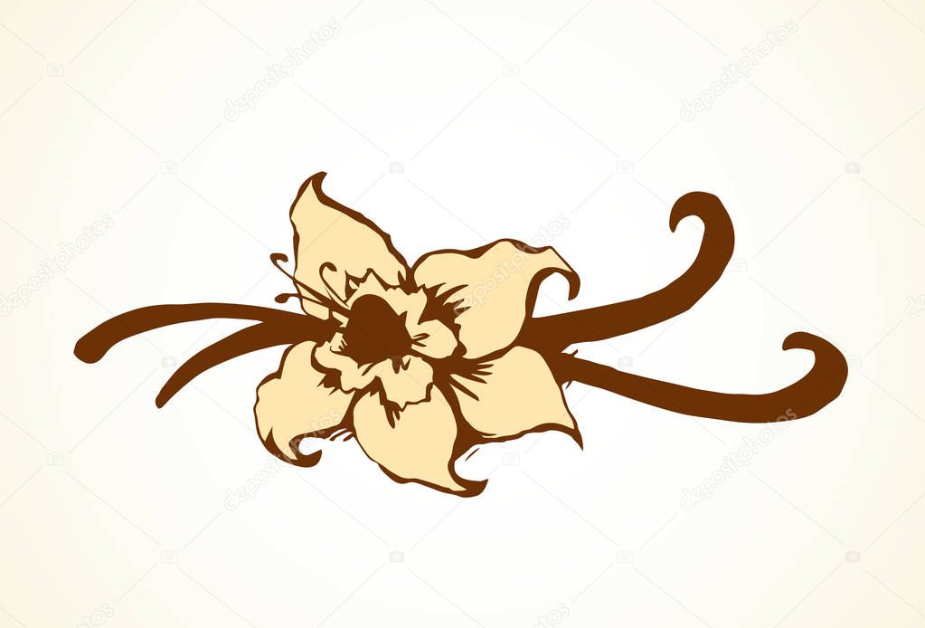 Asian exotic scent herbal cook petal on light yellow backdrop. Outline black ink hand drawn closeup object logo pictogram emblem sketchy in art retro doodle engraved style pen on paper space for text