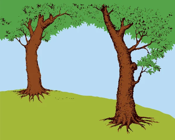 Κορνίζα δένδρο. Εικονογράφηση διάνυσμα — Διανυσματικό Αρχείο
